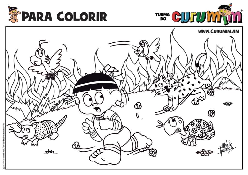 Curumim contra as queimadas
